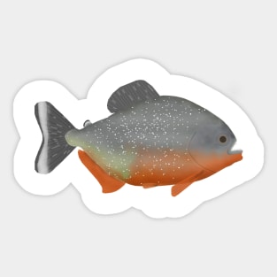 Red-bellied piranha Sticker